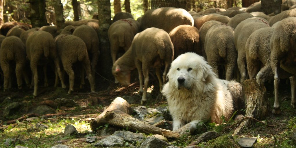 3691231058_5ef6087426_b