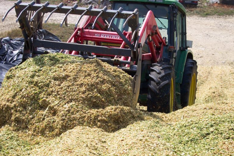 Ensilage_Maïs (70)