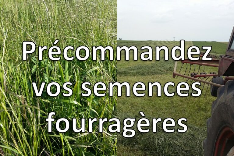 Semences