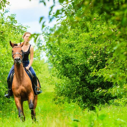 Young woman ridding on a horse