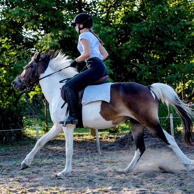 horse-rando