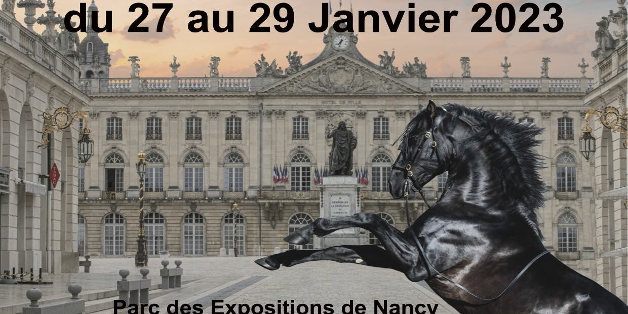 flyer A5 2023 – copie